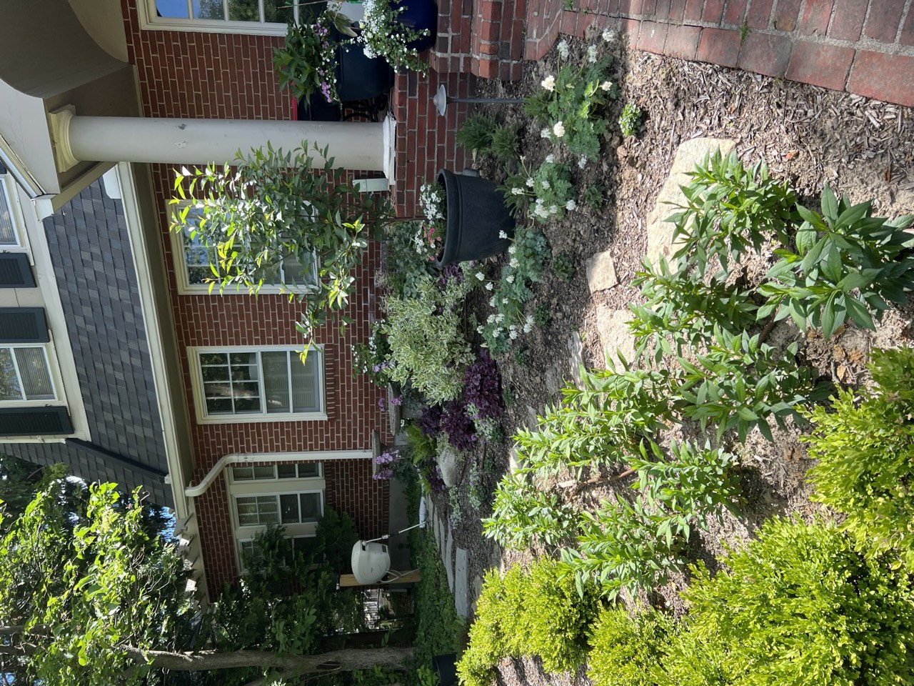 Foundation planting with mixed perennials and a porch container