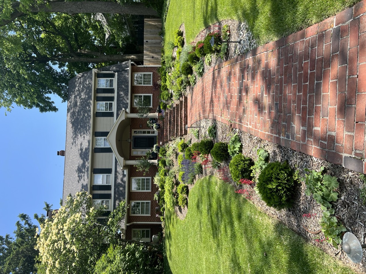 Front yard after the rework: boxwood structure, layered perennials, and mulched borders along the brick walk
