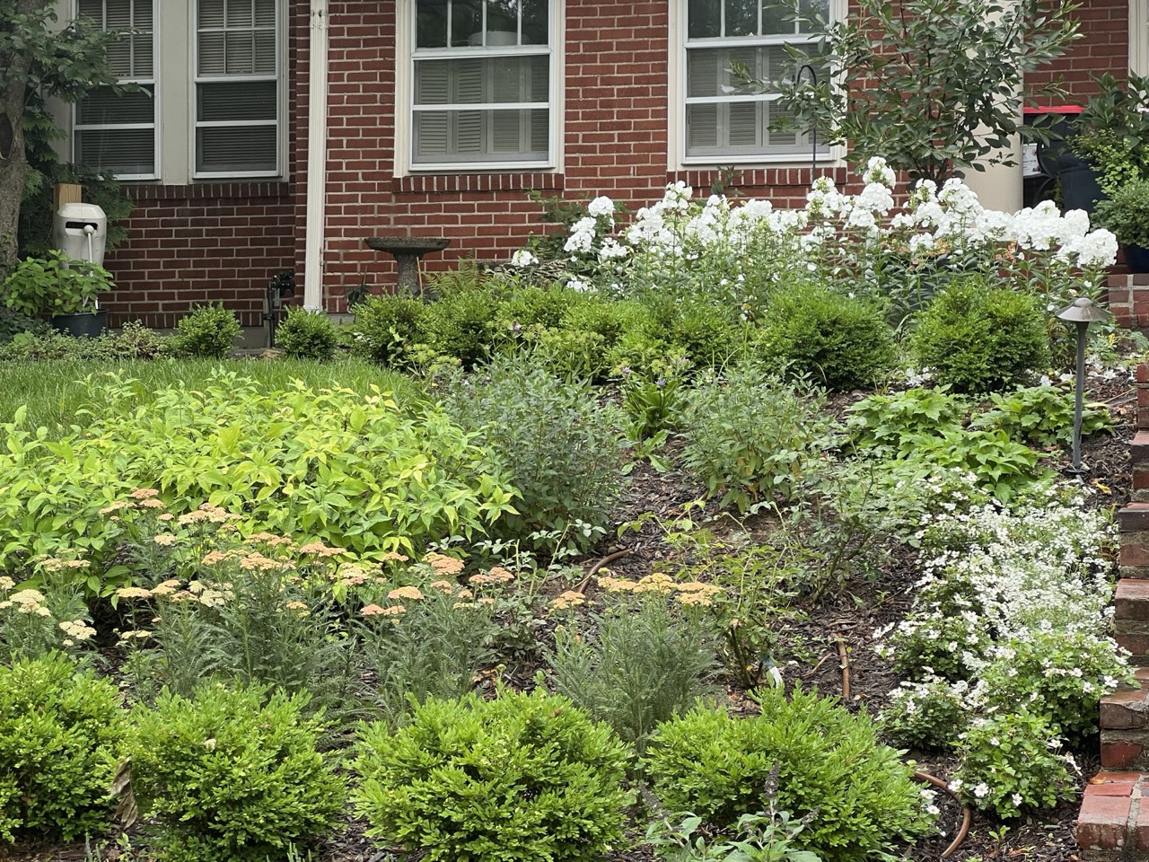 Mixed perennial and herb border in front of the house