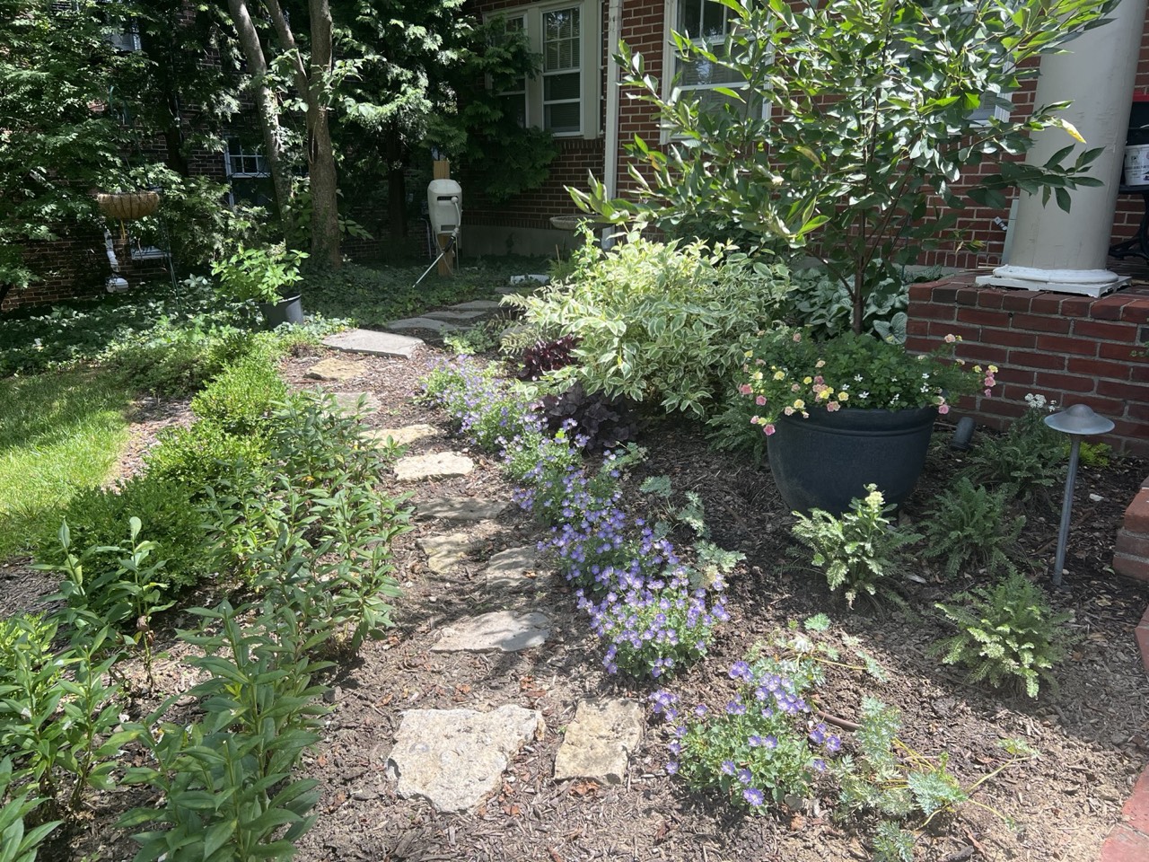 Catmint and stepping stones with a container accent