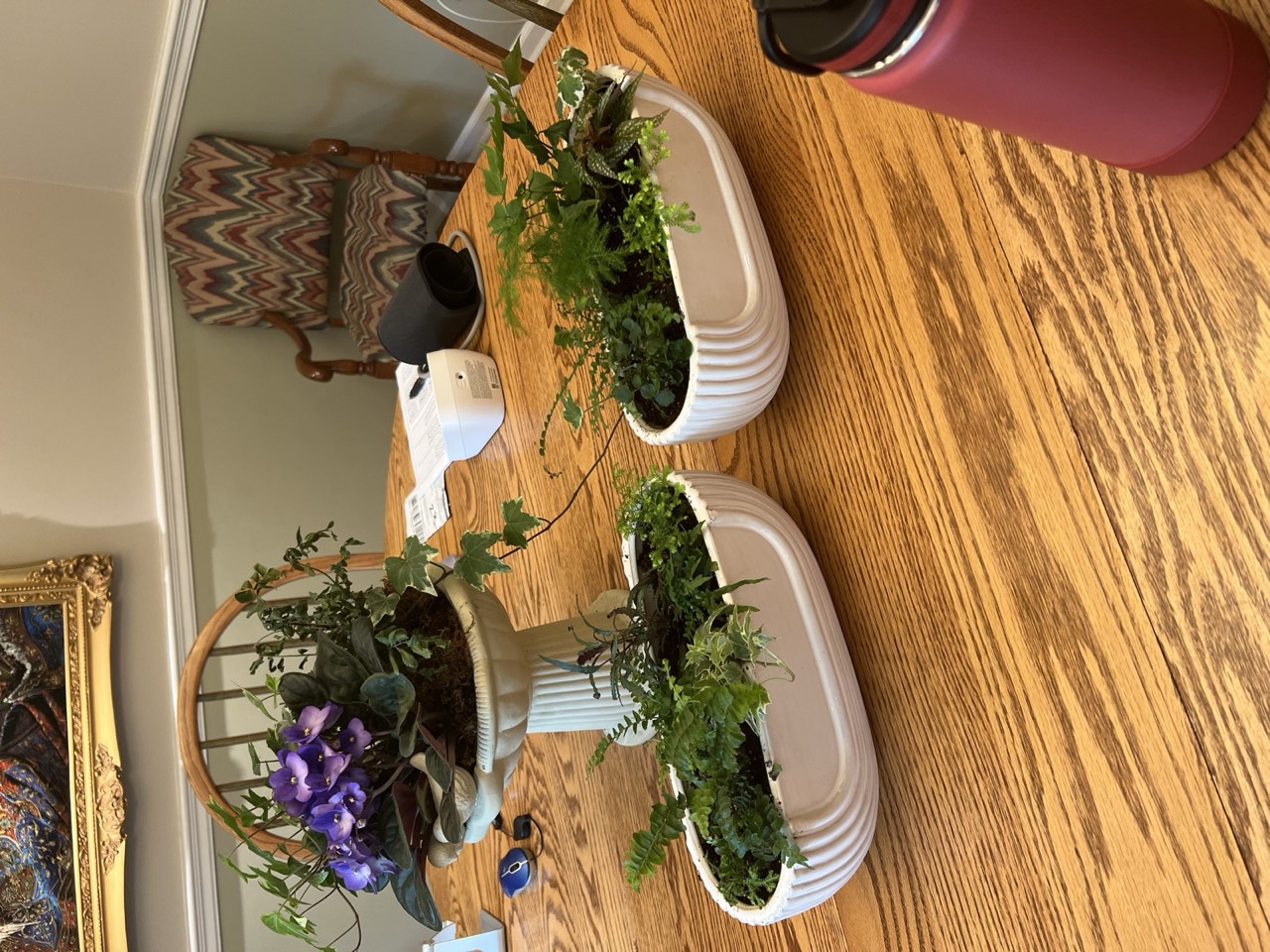 Planted table bowls with ferns and a violet accent