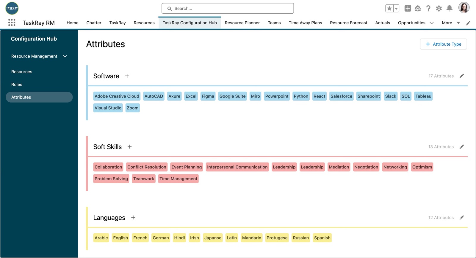 Configuration Hub attributes page grouping skills into Software, Soft Skills, and Languages
