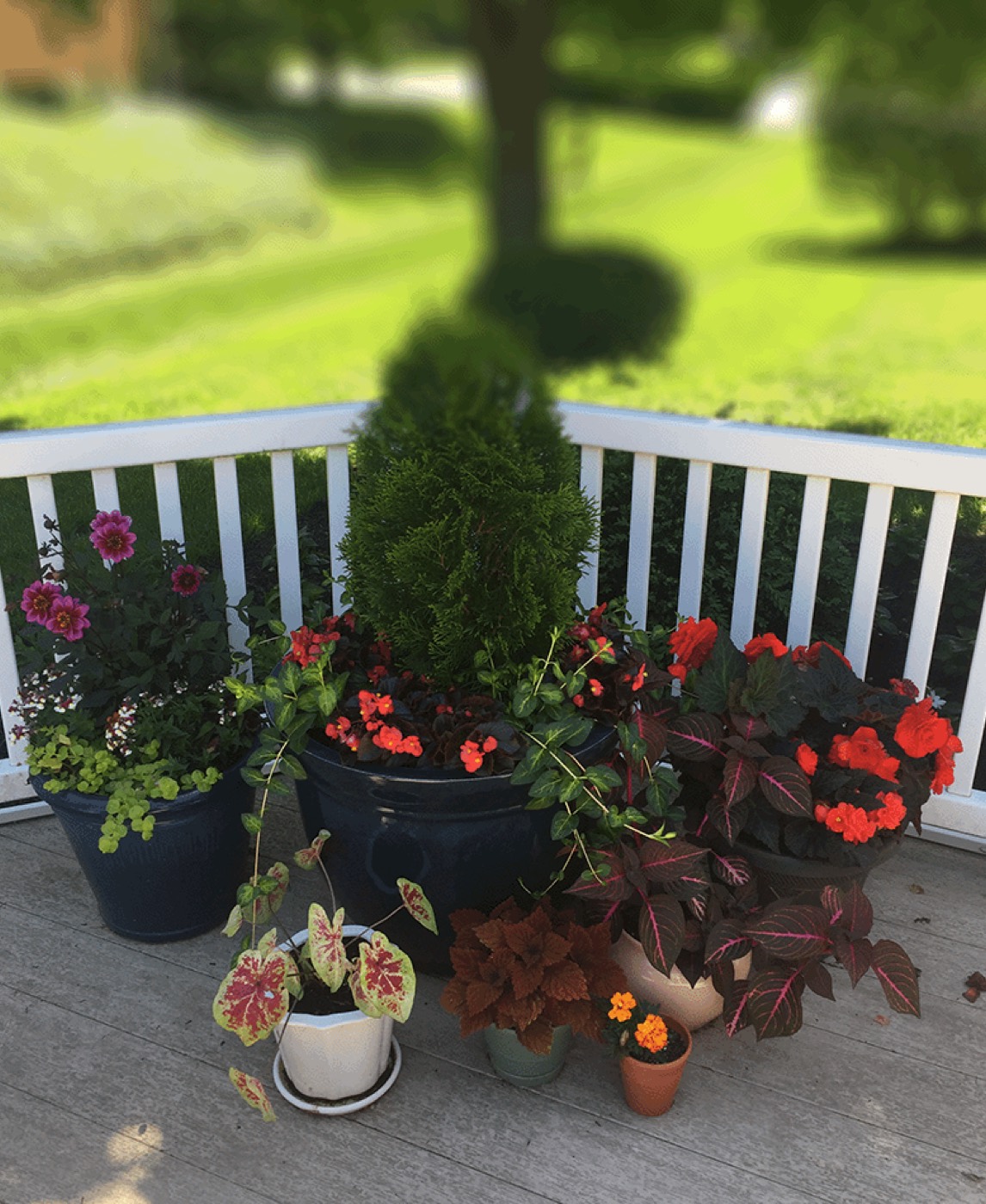 Container garden on the deck