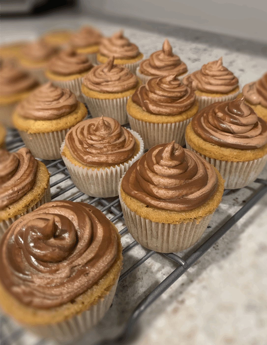 Vanilla cupcakes with chocolate frosting